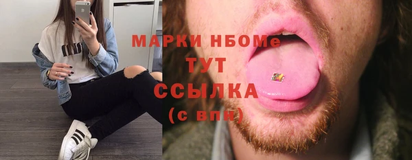 СК Новосибирск